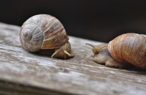 贈答品の宅配を依頼前に知っておくべき注意点は？